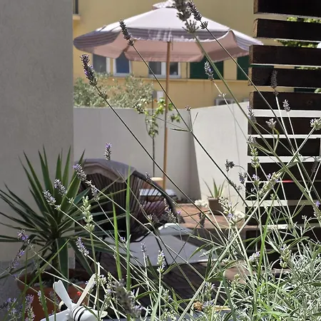 Olea Premium Daire Zadar