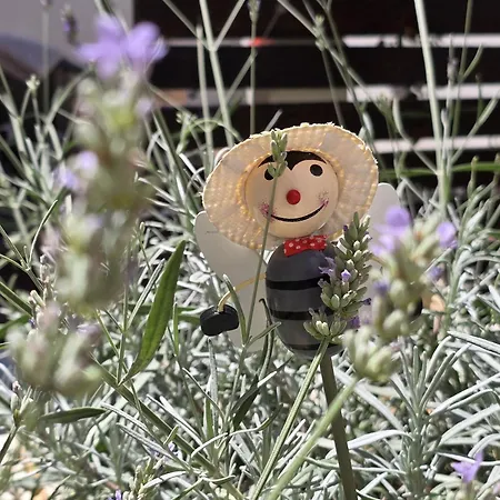 Olea Premium Apartment *