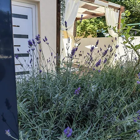 Olea Premium Apartament *