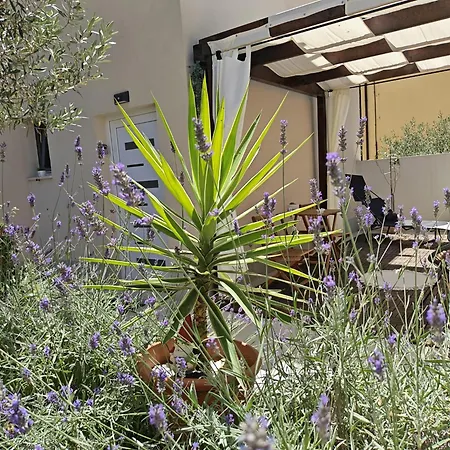 Apartament Olea Premium Zadar