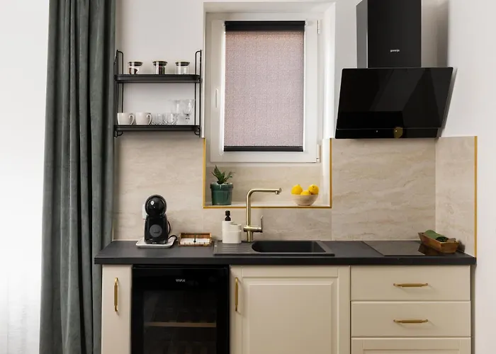 公寓 Olea Premium 扎达尔