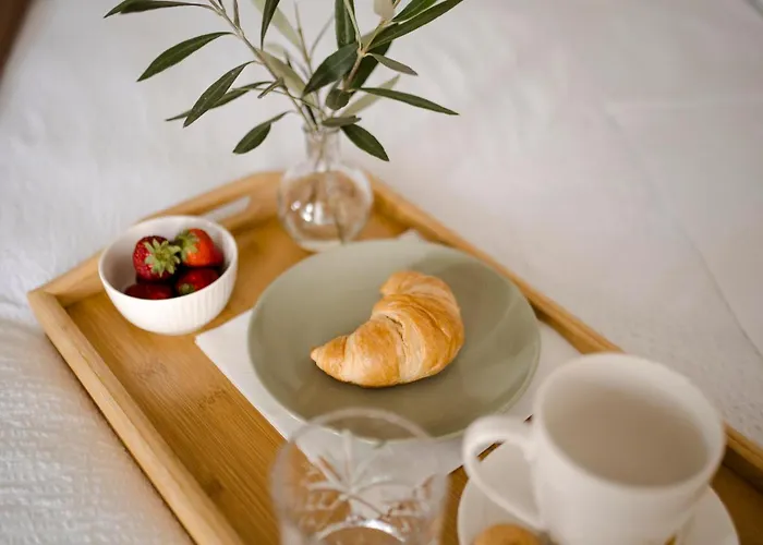 Olea Premium 公寓 扎达尔