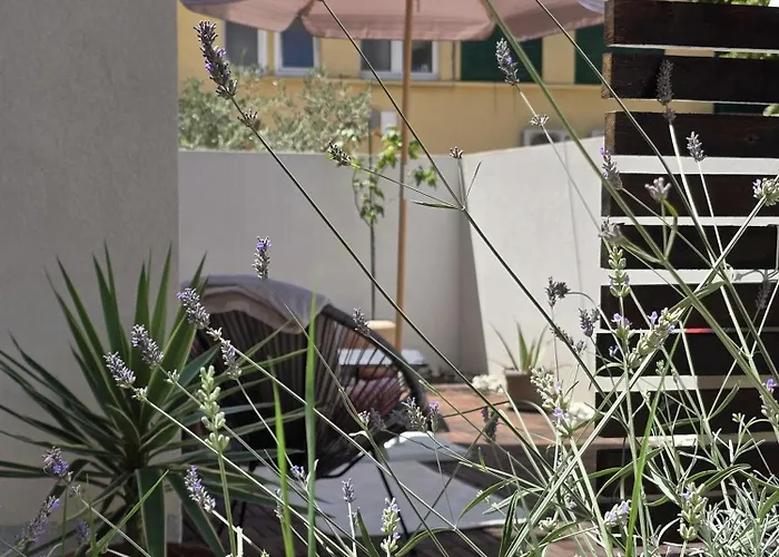 Olea Premium 公寓 扎达尔