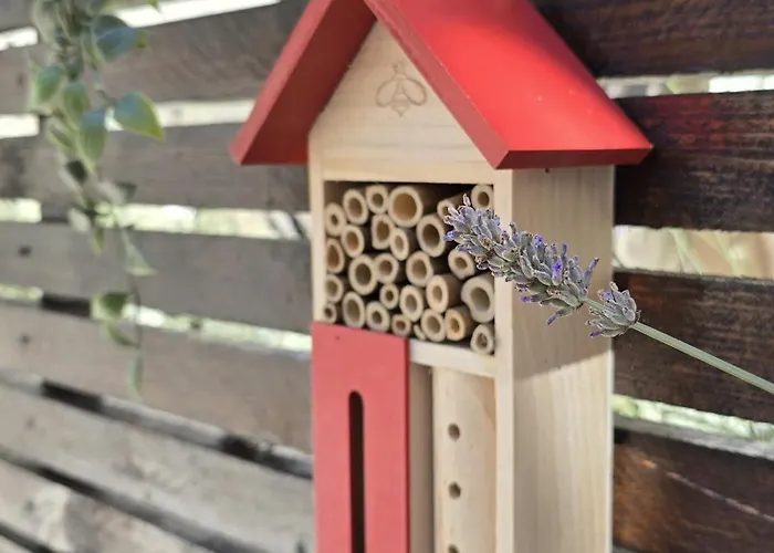 公寓 Olea Premium 扎达尔